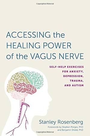 Accessing the Healing Power of the Vagus Nerve