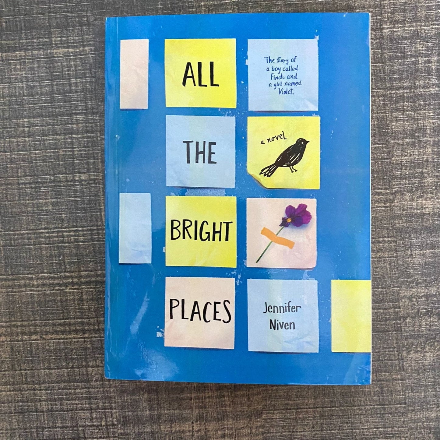 ALL THE BRIGHT PLACES