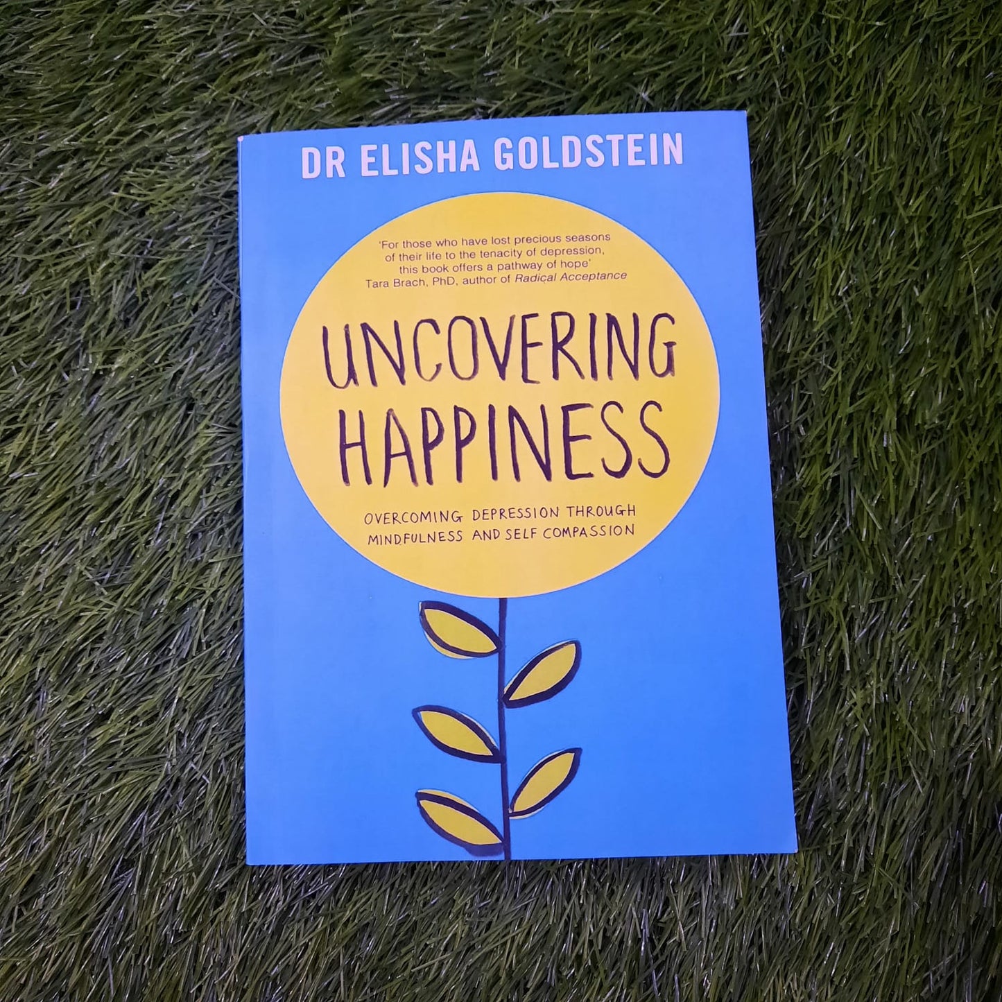 UNCOVERING HAPPINESS